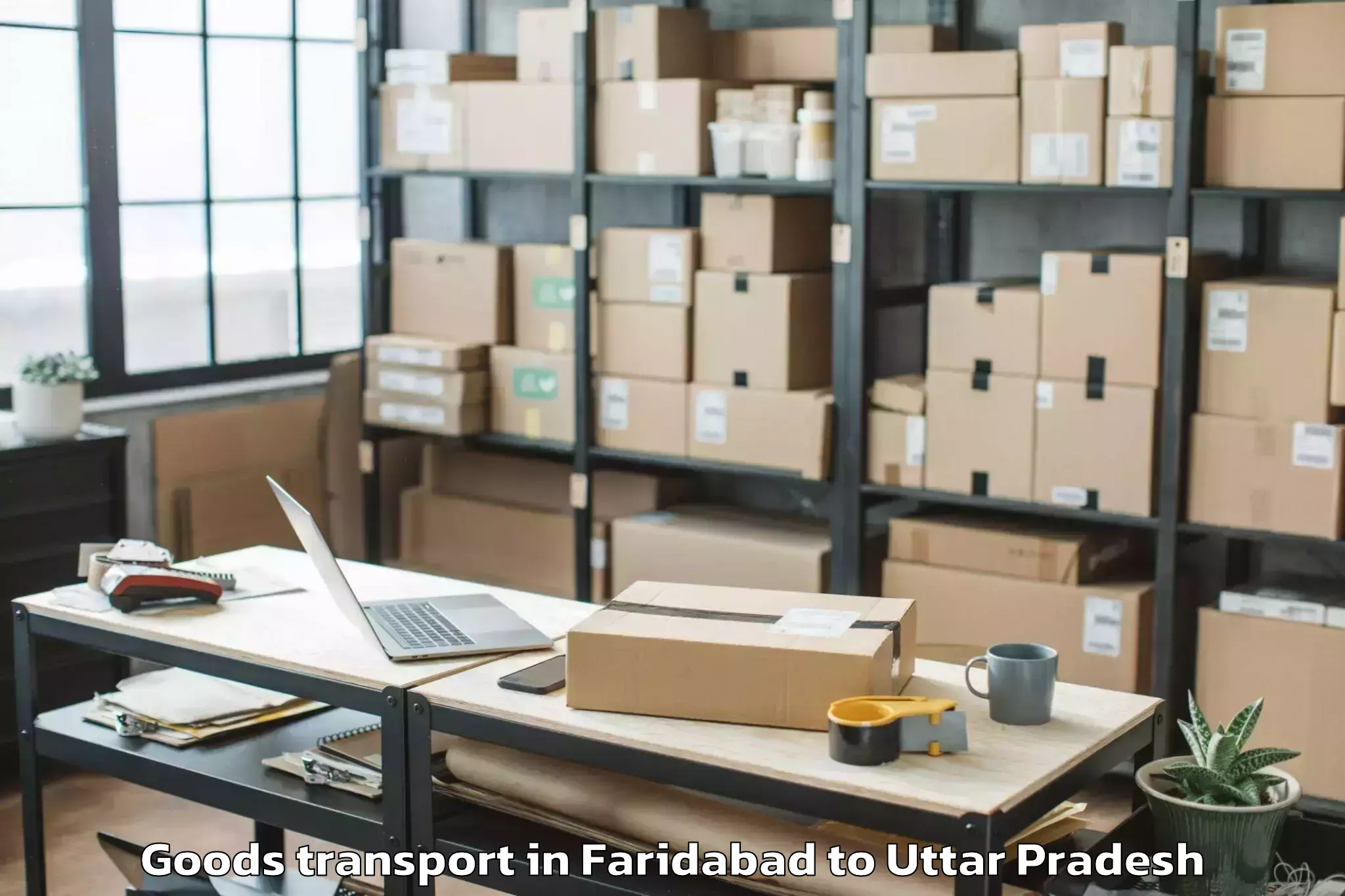 Easy Faridabad to Sahjanwa Goods Transport Booking